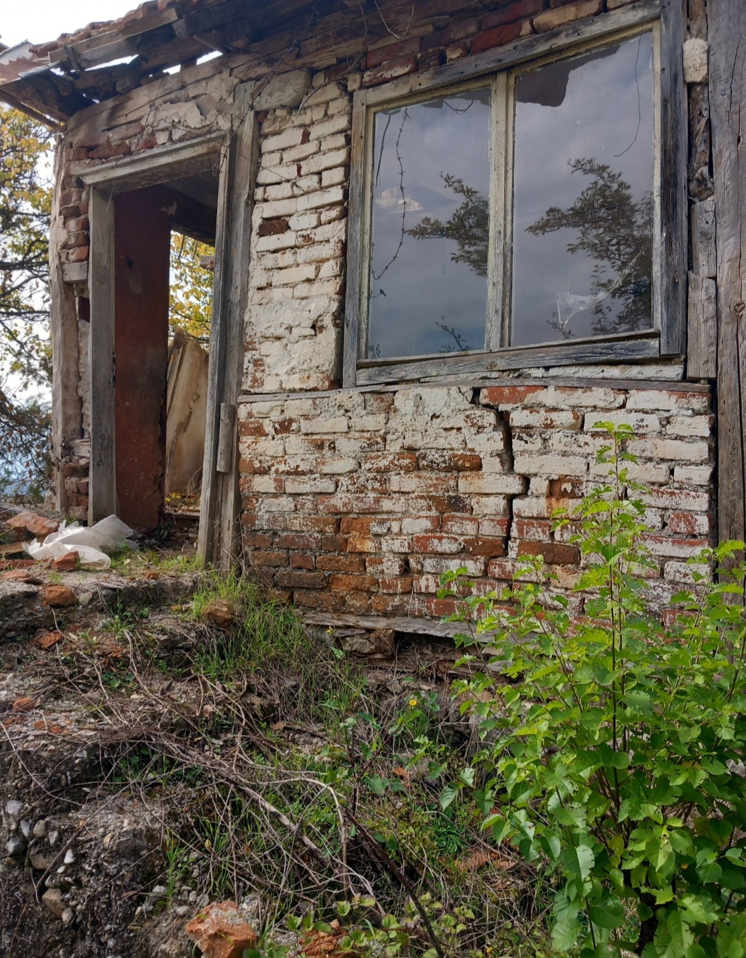 ������� ������ | Imot.bg � ����������� 5