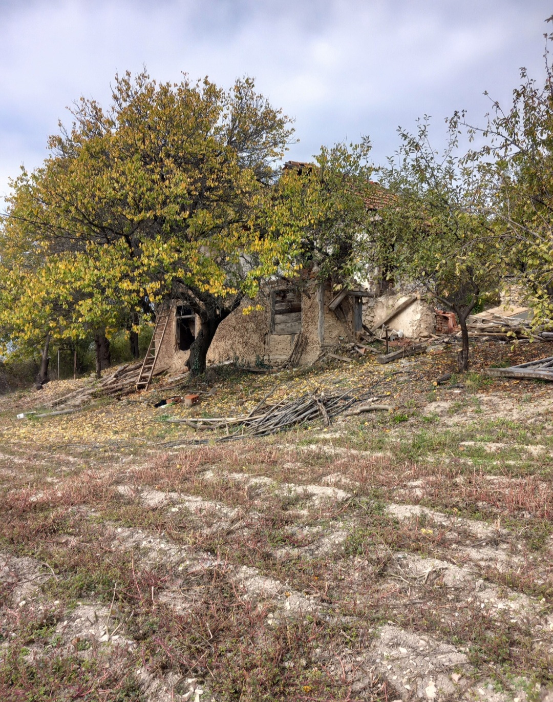 ������� ������ | Imot.bg � ����������� 13