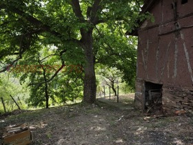 House Tsarvenyano, region Kyustendil 14