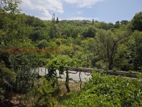 House Tsarvenyano, region Kyustendil 2