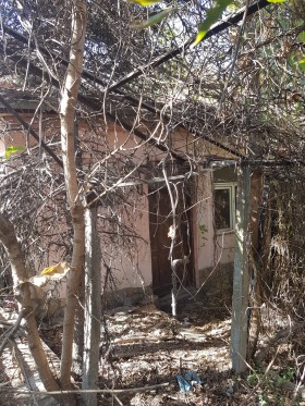 ������� ���� | Imot.bg � ����� ������ 8