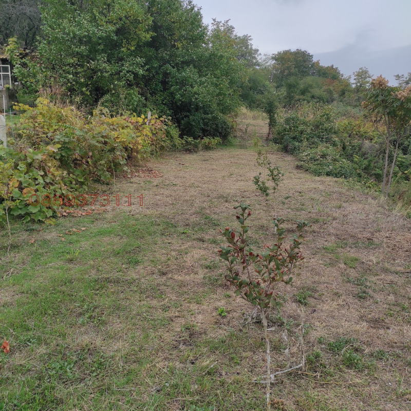 Продава КЪЩА, гр. Никопол, област Плевен, снимка 6 - Къщи - 53130362