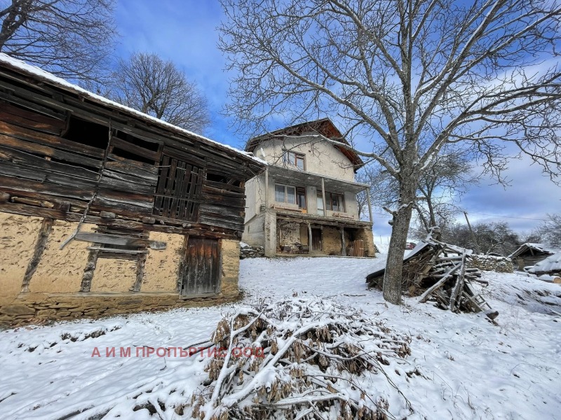 Продава КЪЩА, с. Блатец, област Кюстендил, снимка 3 - Къщи - 53109704