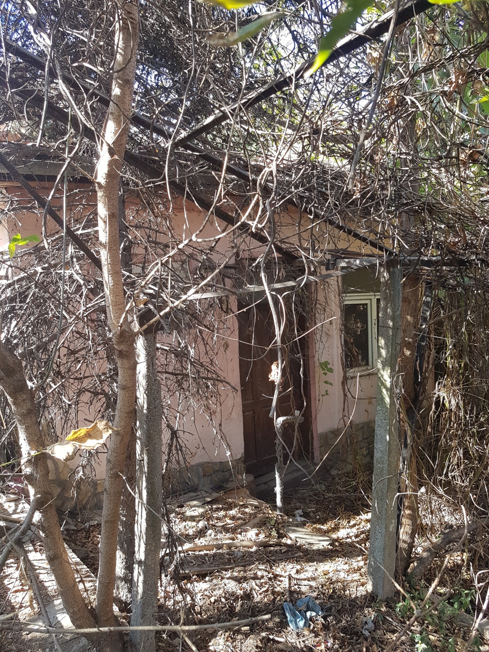 Продава КЪЩА, гр. Лом, област Монтана, снимка 8 - Къщи - 55140694