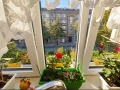 Продава 3-СТАЕН, гр. Пловдив, Център, снимка 7