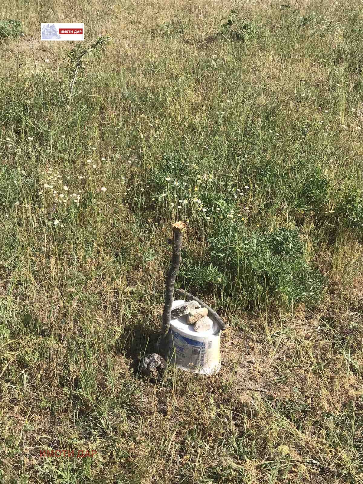 ������� ������ | Imot.bg � ����������� 5