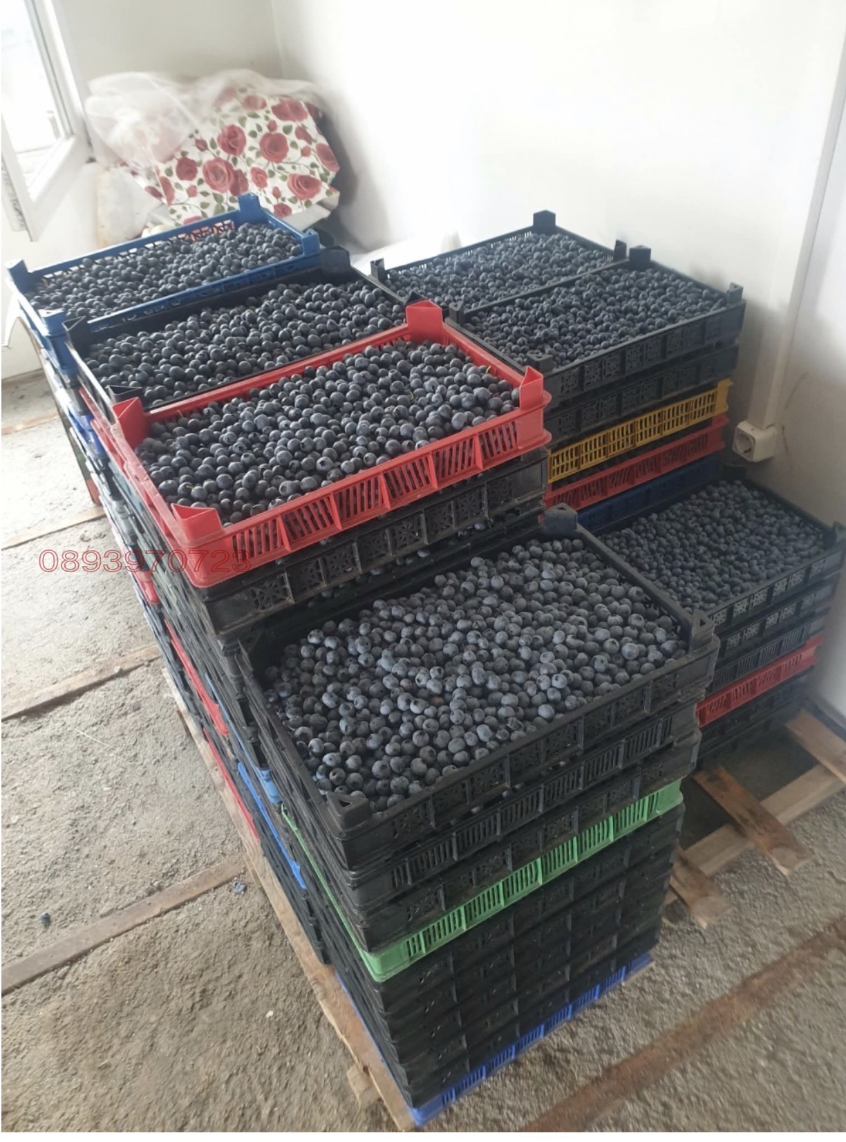������� ���������� ���� | Imot.bg � ����������� 2