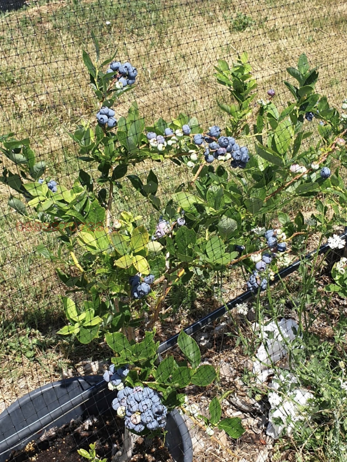 ������� ���������� ���� | Imot.bg � ����������� 4