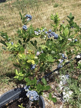 ������� ���������� ���� | Imot.bg � ����� ������ 4