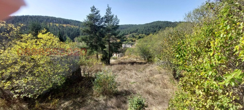 Продава ПАРЦЕЛ, с. Широки дол, област София област, снимка 3 - Парцели - 53151002