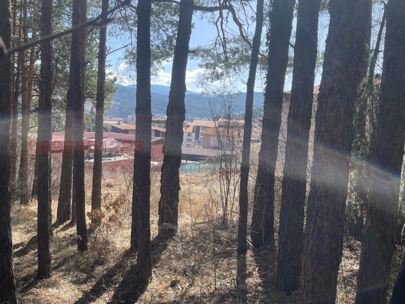 Продава ПАРЦЕЛ, гр. Велинград, област Пазарджик, снимка 2 - Парцели - 52786288