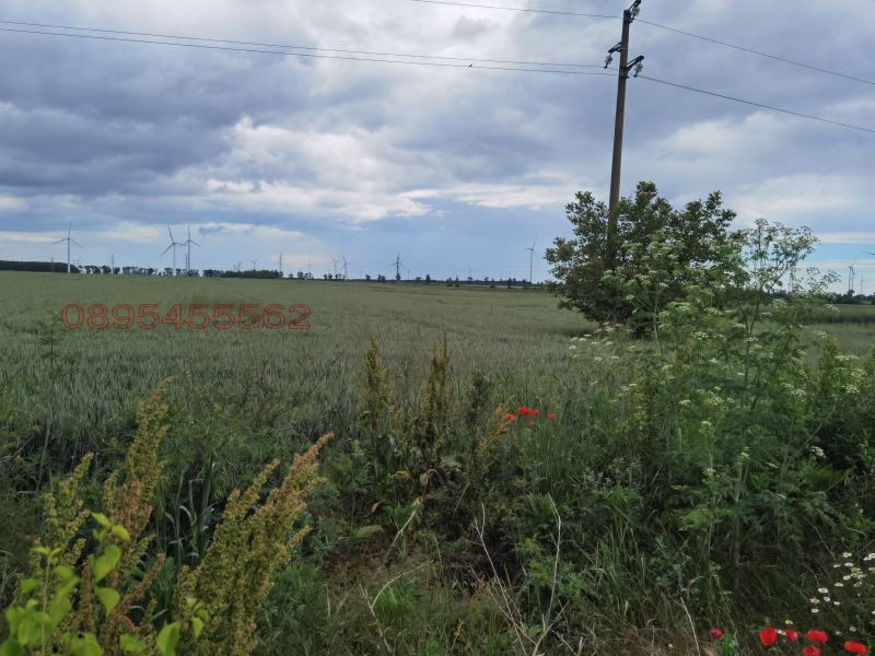 Προς πώληση  Οικόπεδο περιοχή Dobrich , Καβαρνα , 10000 τ.μ | 25397532 - εικόνα [3]