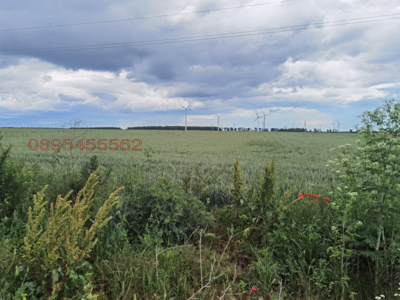 Προς πώληση  Οικόπεδο περιοχή Dobrich , Καβαρνα , 10000 τ.μ | 25397532
