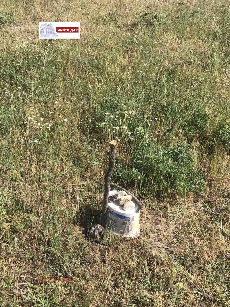 Продава ПАРЦЕЛ, с. Бенковски, област Варна, снимка 4 - Парцели - 51957795