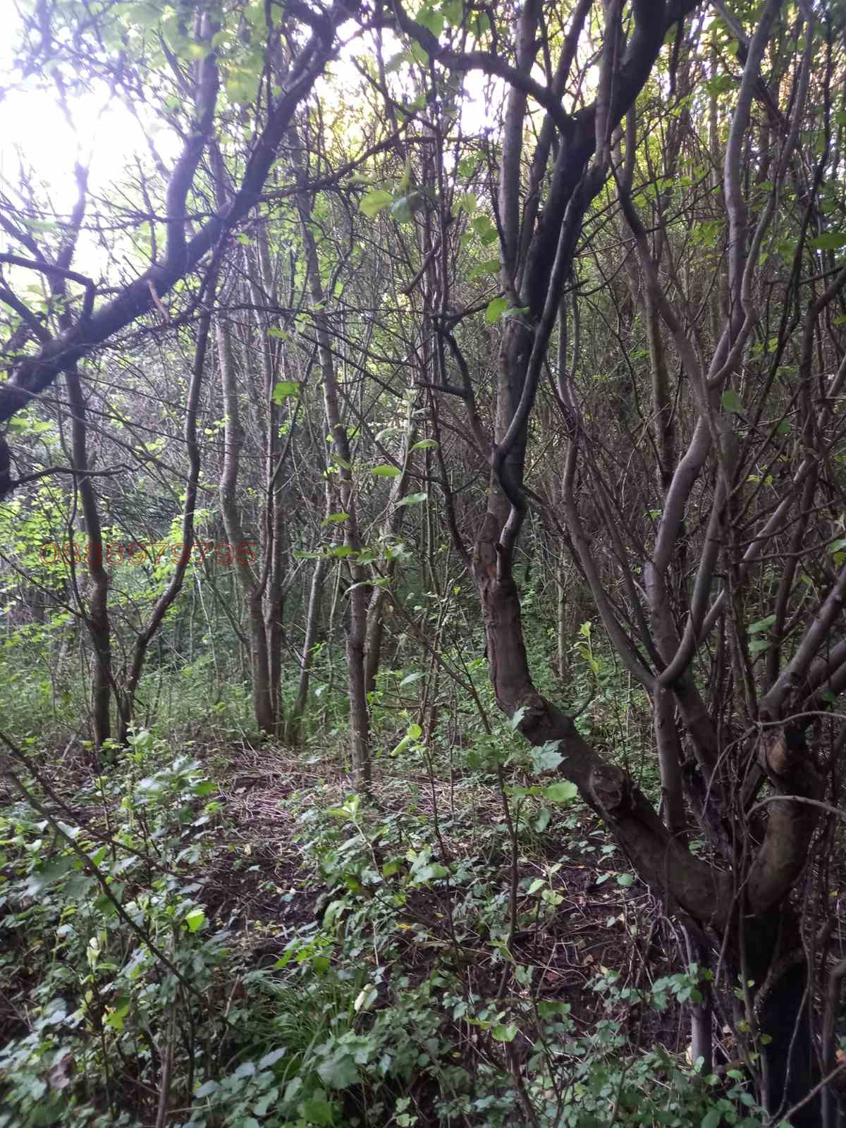 ������� ������ | Imot.bg � ����������� 5