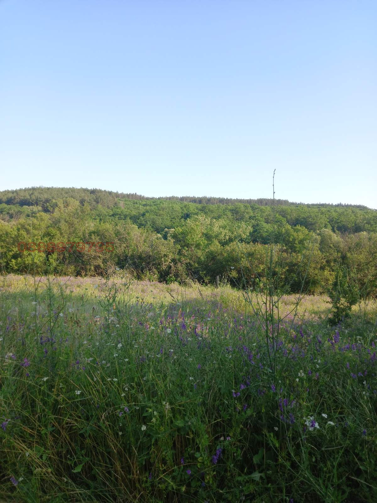 ������� ������ | Imot.bg � ����������� 2