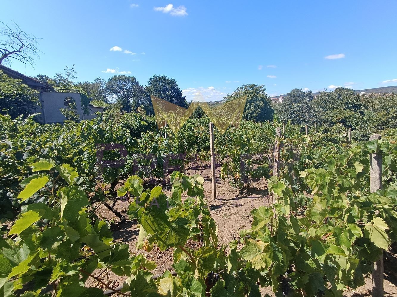 ������� ������ | Imot.bg � ����������� 13