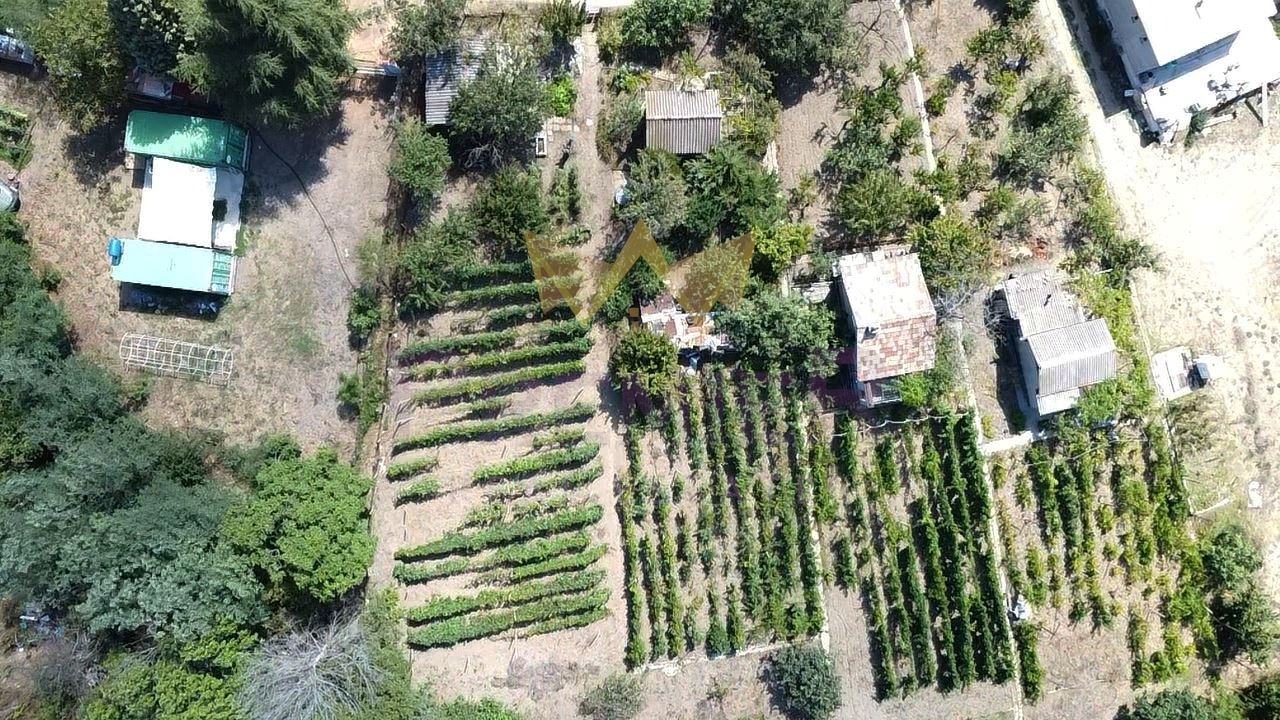 ������� ������ | Imot.bg � ����������� 8