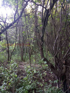 ������� ������ | Imot.bg � ����� ������ 5