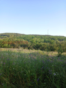 ������� ������ | Imot.bg � ����� ������ 2