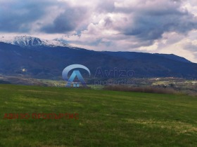 ����� ������� ������,���� �����, �. ��������