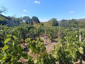 ������� ������ | Imot.bg � ����� ������ 13