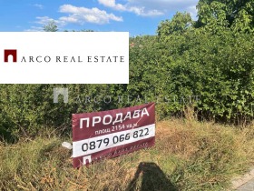 ����� ������� ������,���� �����, ��. ���� �����