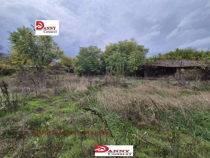 Продава КЪЩА, с. Първомайци, област Велико Търново, снимка 3 - Къщи - 52523846