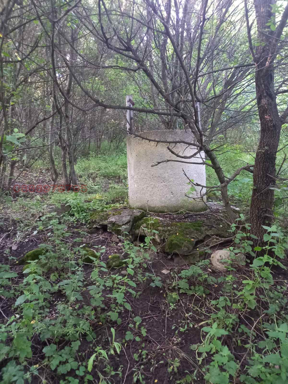 Продава ПАРЦЕЛ, гр. Драгоман, област София област, снимка 4 - Парцели - 53662181