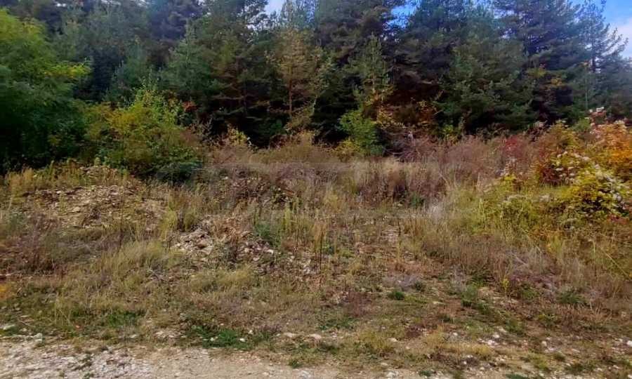 Продава ПАРЦЕЛ, с. Цар Калоян, област Пловдив, снимка 6 - Парцели - 55429906