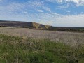 Продава ПАРЦЕЛ, с. Рогачево, област Добрич, снимка 6