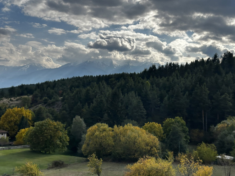 Продава ПАРЦЕЛ, с. Бачево, област Благоевград, снимка 6 - Парцели - 52534228