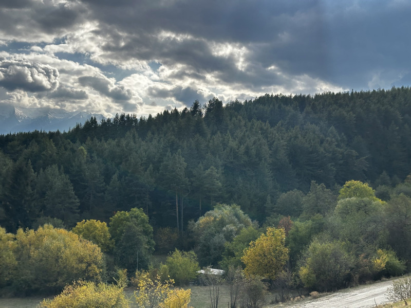 Продава ПАРЦЕЛ, с. Бачево, област Благоевград, снимка 5 - Парцели - 52534228