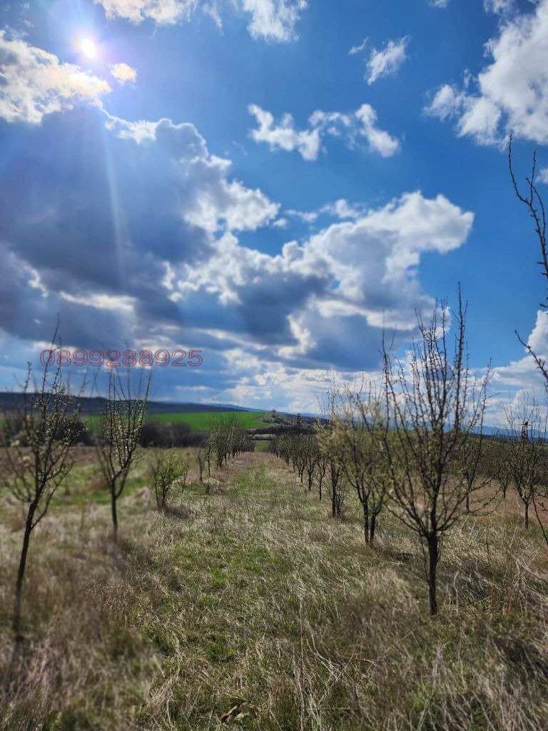 Продава  Земеделска земя област Перник , с. Дивотино , 3.9 дка | 67140493