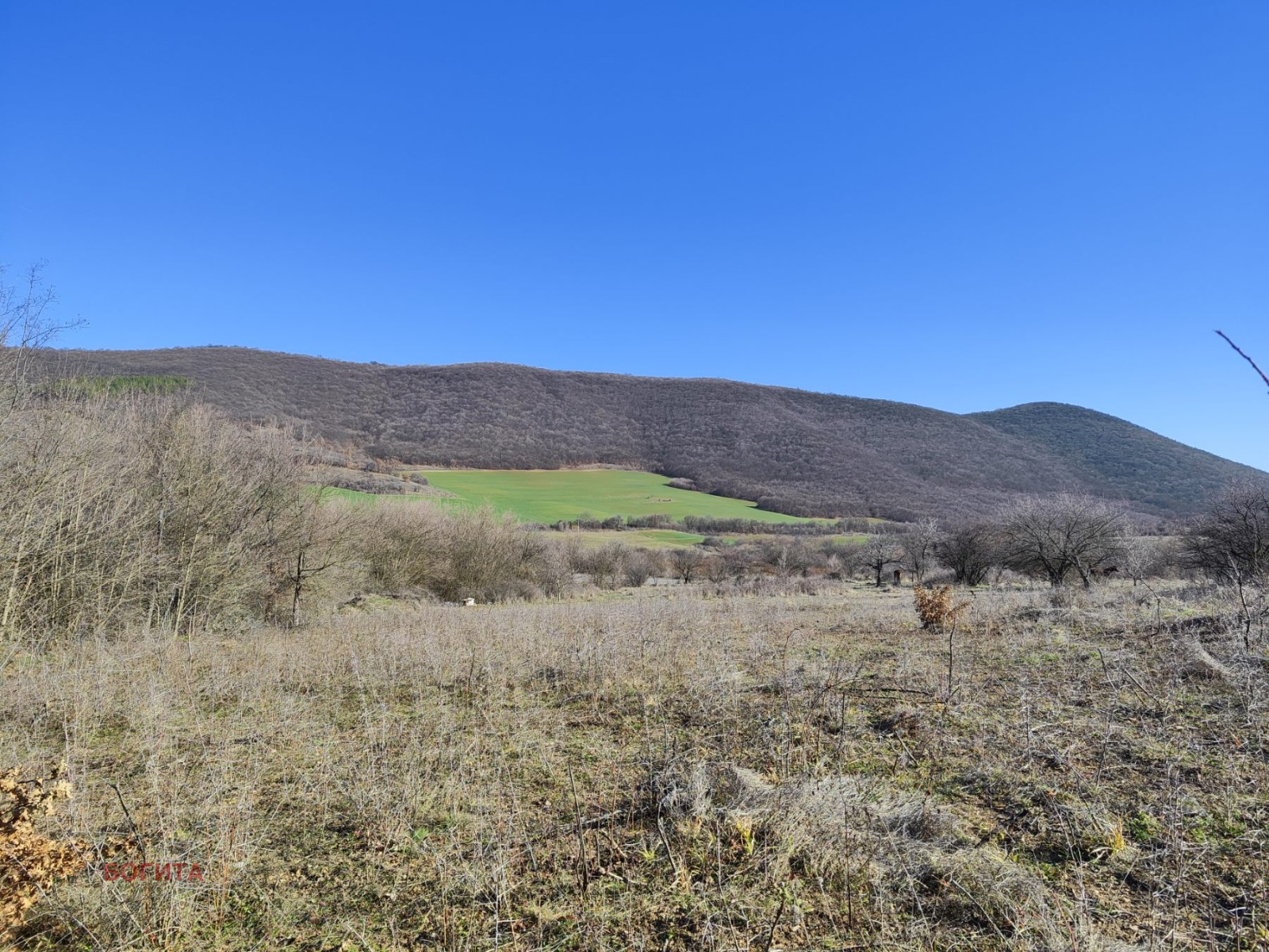 Продава ПАРЦЕЛ, с. Сулица, област Стара Загора, снимка 2 - Парцели - 49835550