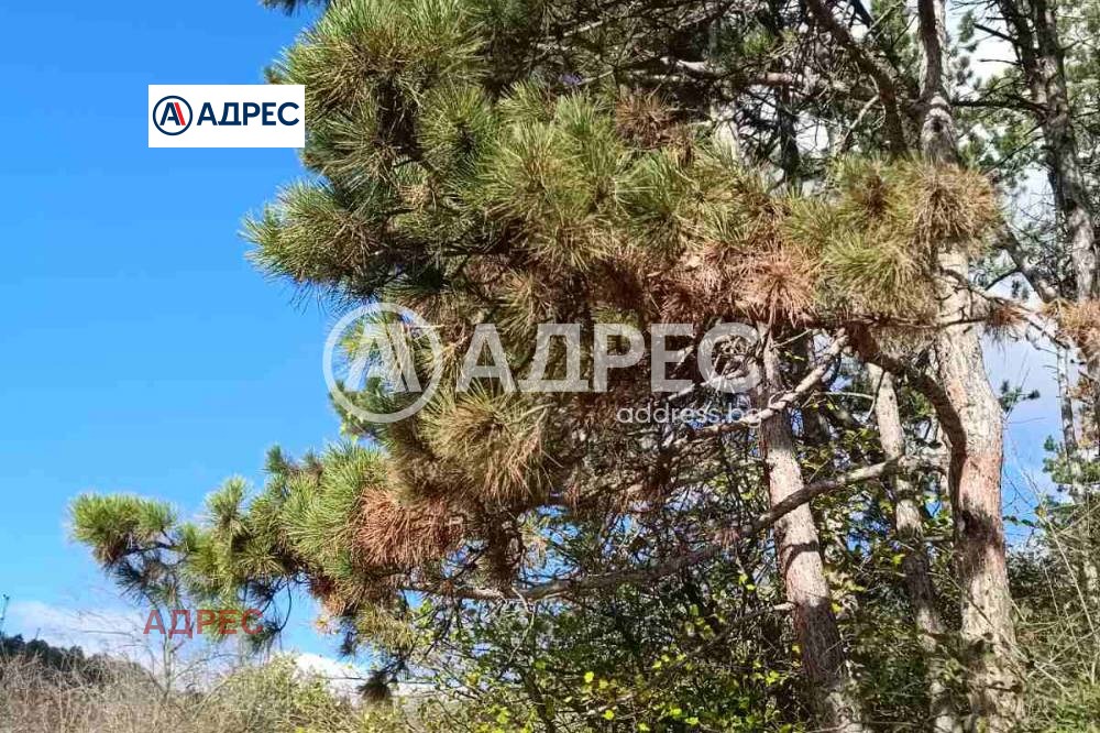 Продава ПАРЦЕЛ, гр. Аксаково, област Варна, снимка 6 - Парцели - 54405829