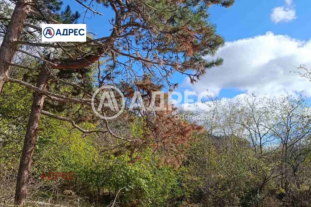 Продава ПАРЦЕЛ, гр. Аксаково, област Варна, снимка 2 - Парцели - 54405829