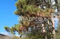 Продава ПАРЦЕЛ, гр. Аксаково, област Варна, снимка 6