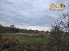 ����� ������� ������,�. ���������, ������ ������