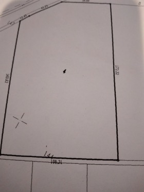 ������ ������� ������