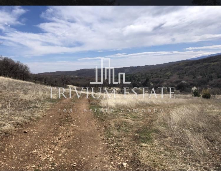 Продава ПАРЦЕЛ, с. Брестовица, област Пловдив, снимка 5 - Парцели - 53093263