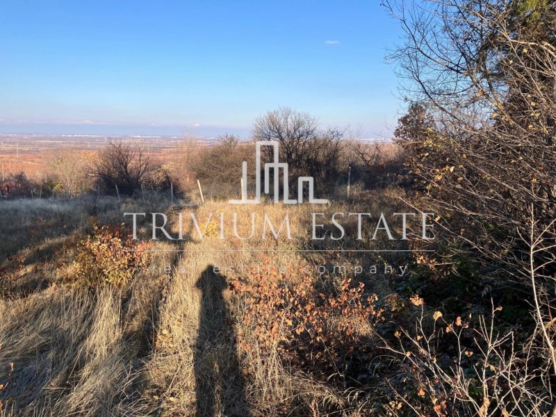 Продава ПАРЦЕЛ, с. Брестовица, област Пловдив, снимка 4 - Парцели - 53093263