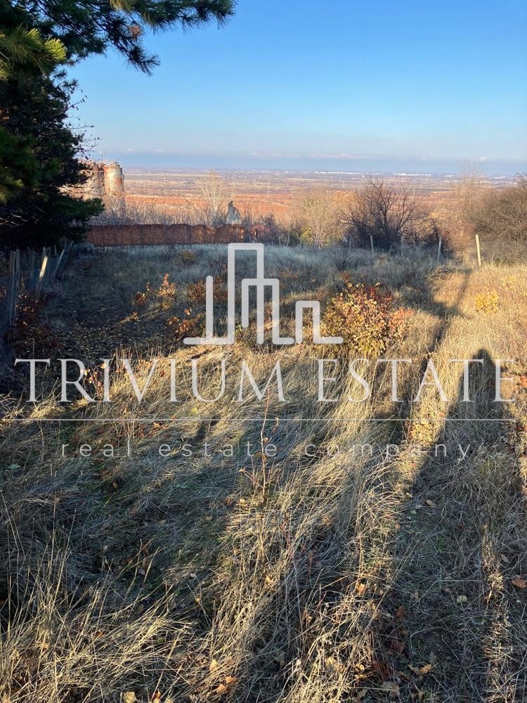 Продава ПАРЦЕЛ, с. Брестовица, област Пловдив, снимка 3 - Парцели - 53093263