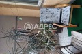 Продава МНОГОСТАЕН, град София, Стрелбище • 350000 € / 684540.50 лв. • 46132323 6