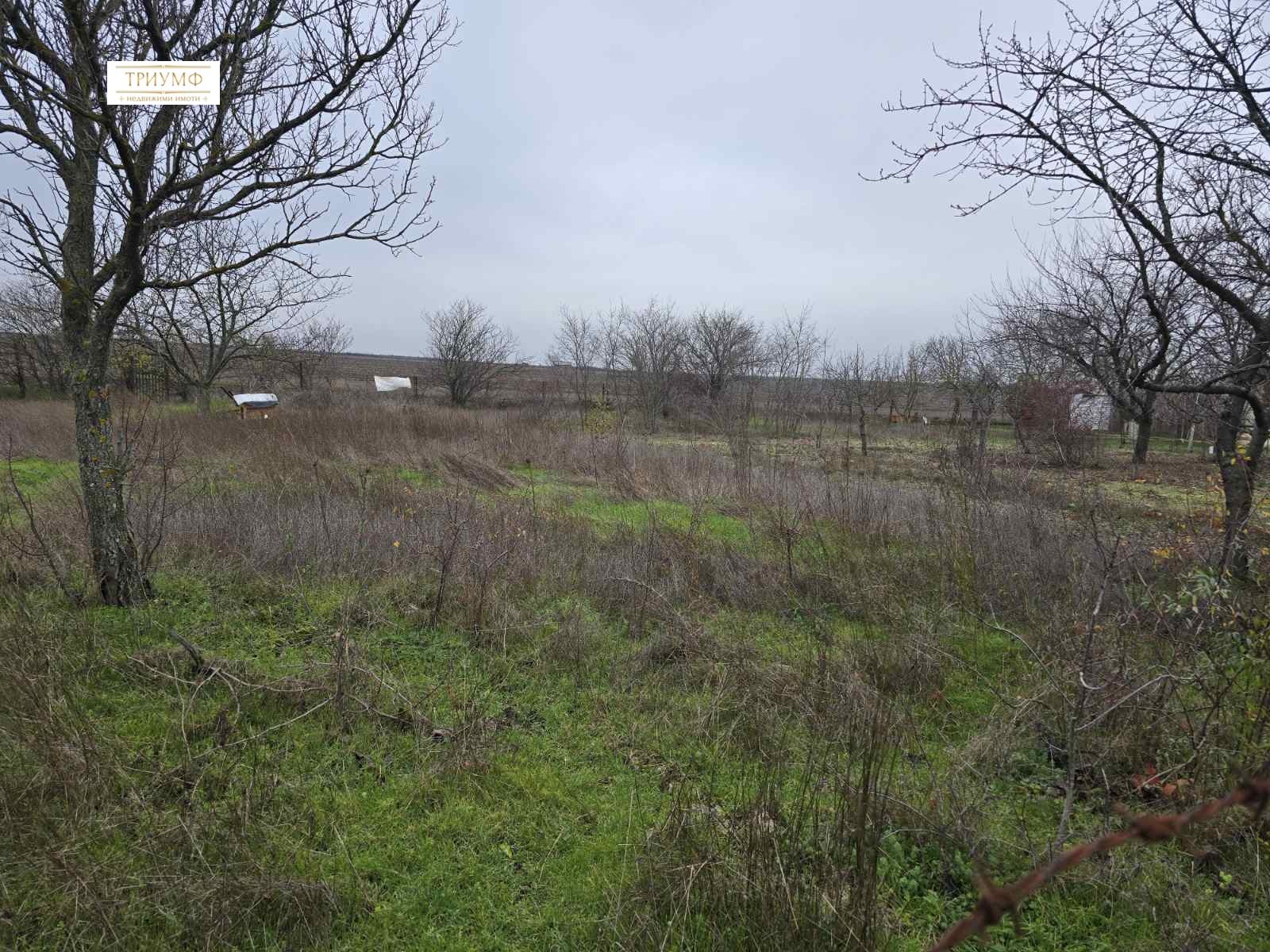 ������� ������ | Imot.bg � ����������� 1