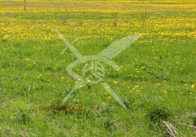 Продава  Парцел, гр. Обзор