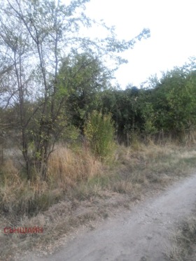 ������� ���������� | Imot.bg � ����� ������ 5