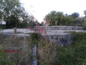 ����� ������� ����������,�. �����, ������ ������