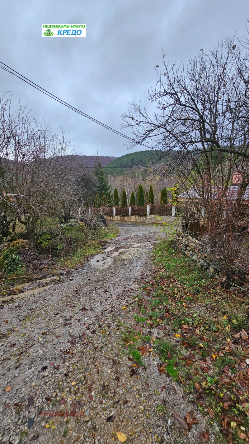 Продава ПАРЦЕЛ, с. Чуйпетлово, област Перник, снимка 2 - Парцели - 53314875