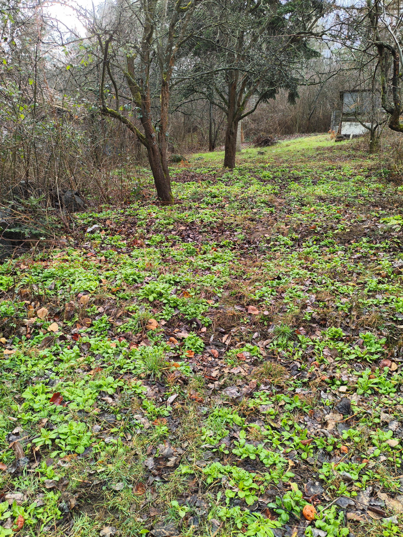 Продава ПАРЦЕЛ, гр. София, в.з.Киноцентъра 3 част, снимка 2 - Парцели - 54137178